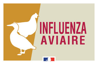 Influenza aviaire : passage au niveau de risque élevé